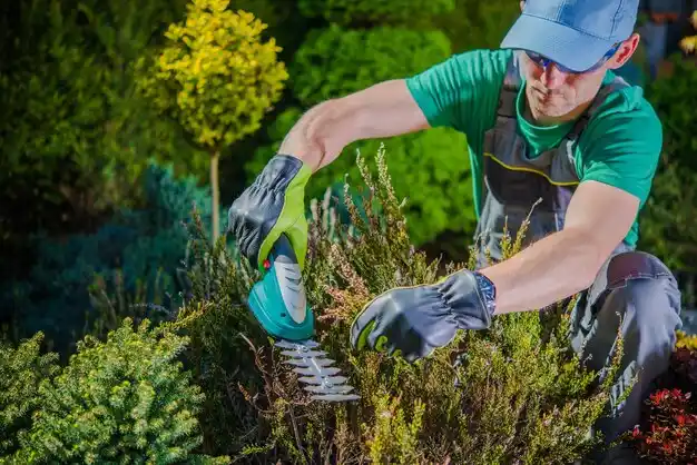landscaping services Marblehead